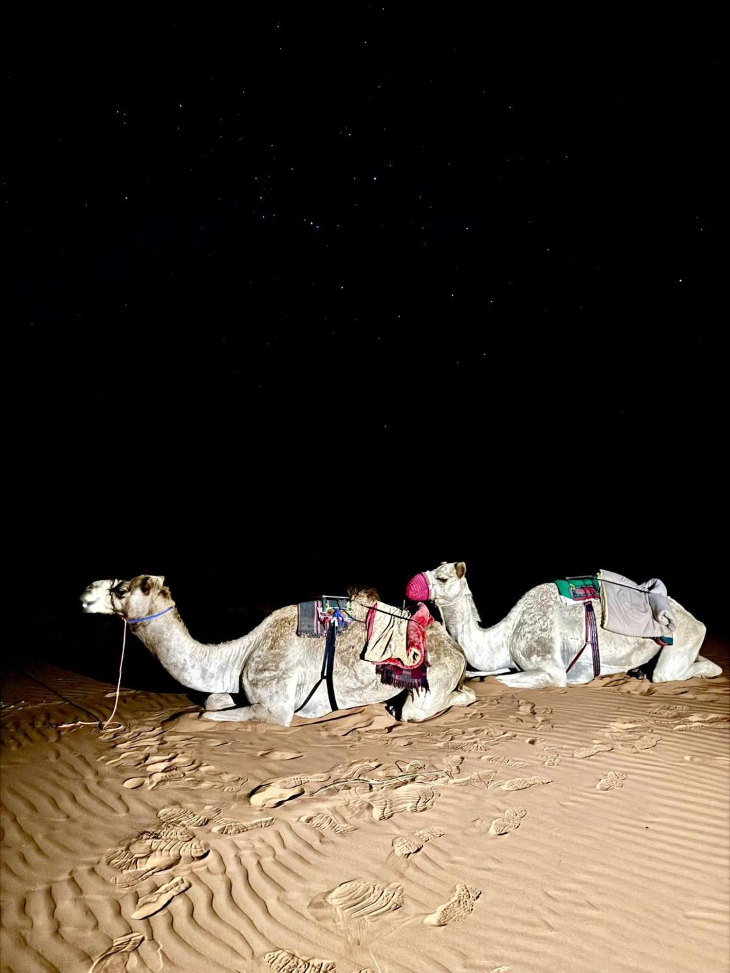 Hamood Desert Private Camp Al Wāşil Exterior foto